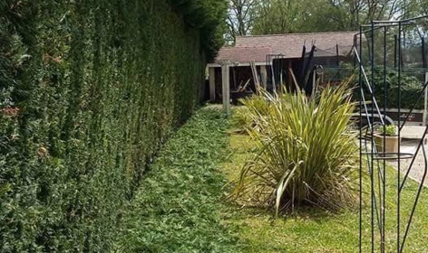 Image d'illustration